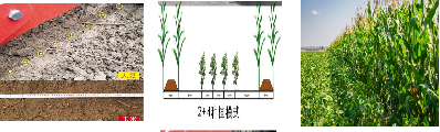 asiagame(中国区)官方网站